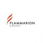 FLAMMARION GROUPE